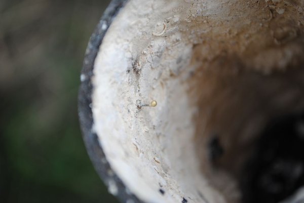 breekdraad na de test